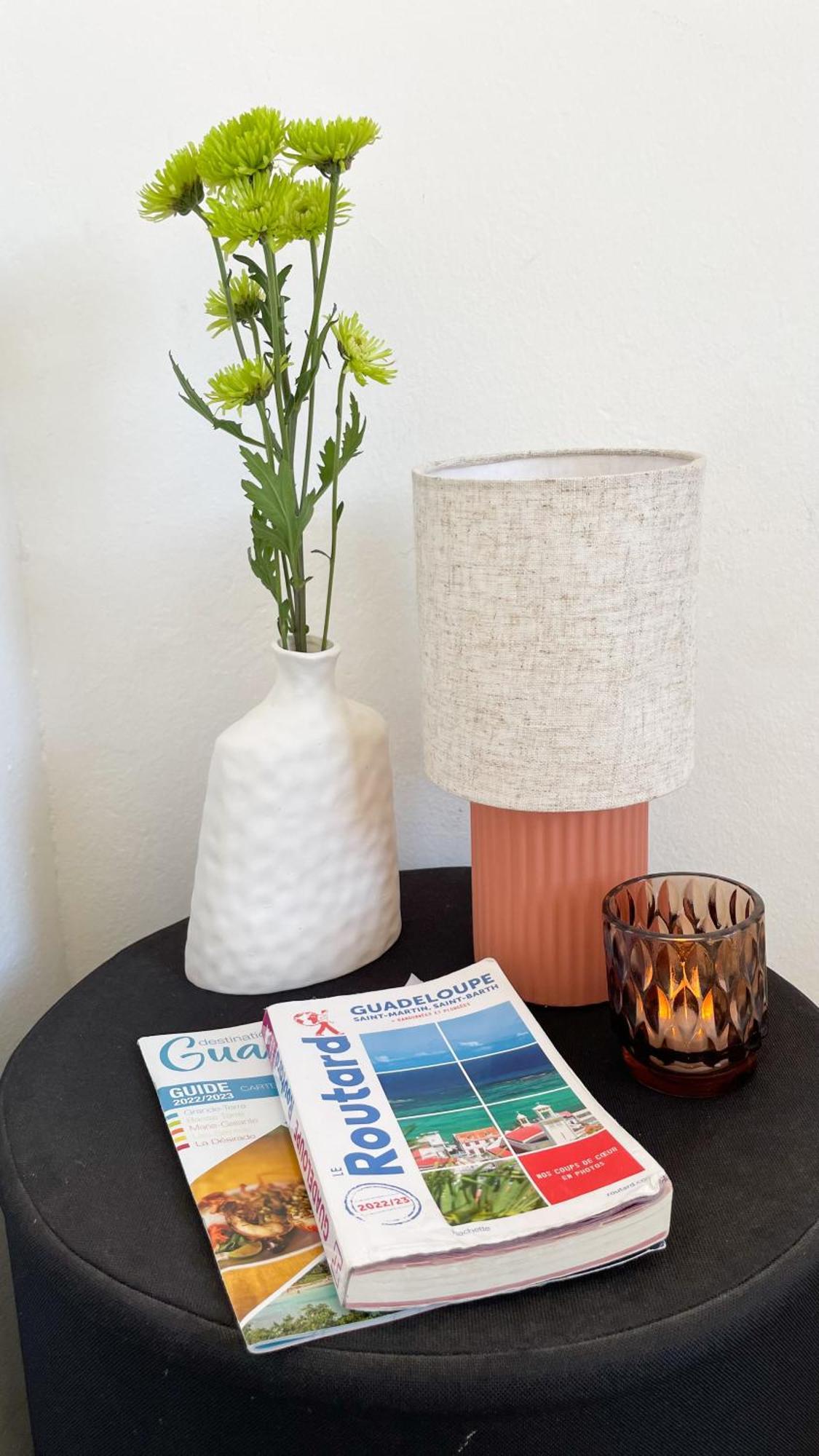 T2 Calme Et Lumineux Au Coeur De Pointe-A-Pitre公寓 外观 照片